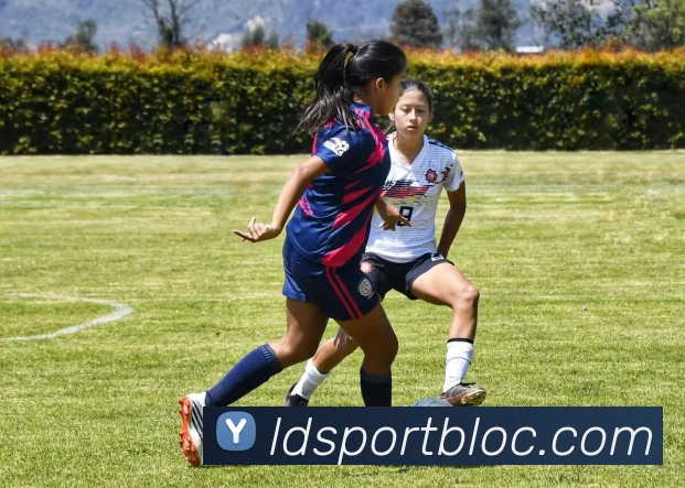 数据防护可视化